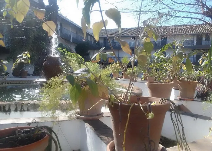 Corral Montelucia Siglo XVI